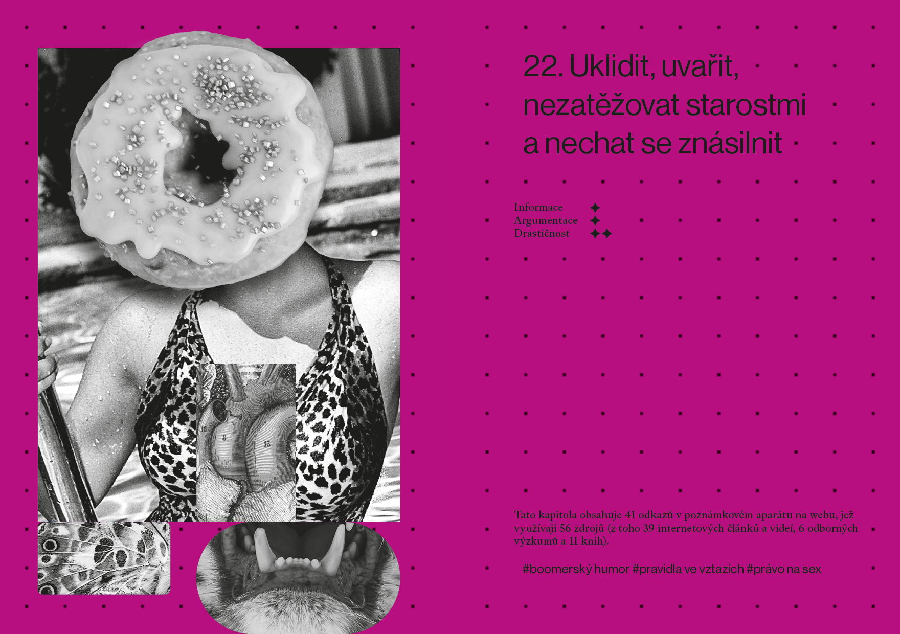 22. Uklidit, uvařit, nezatěžovat starostmi a nechat se znásilnit