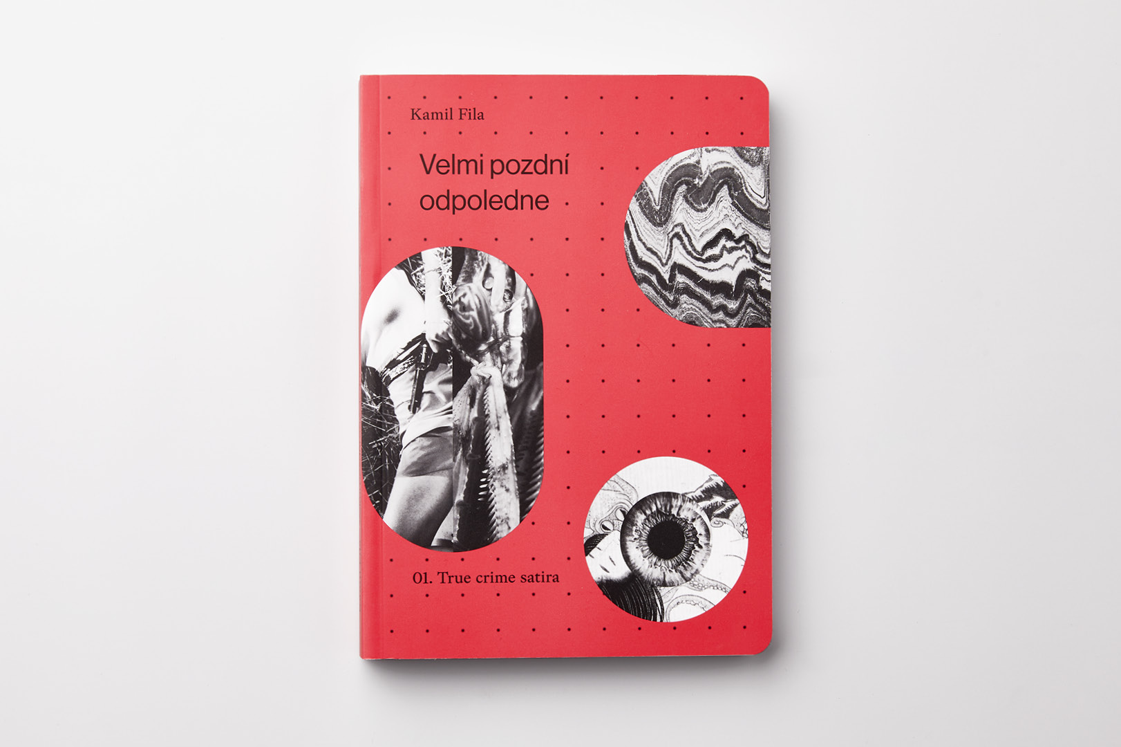 Velmi pozdní odpoledne knihy