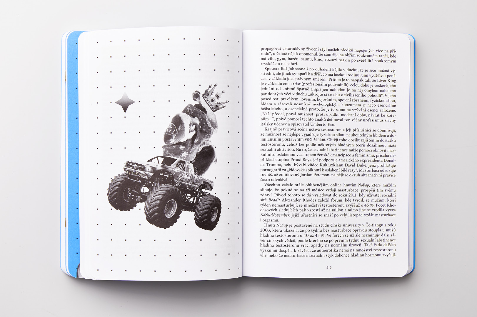 Velmi pozdní odpoledne knihy